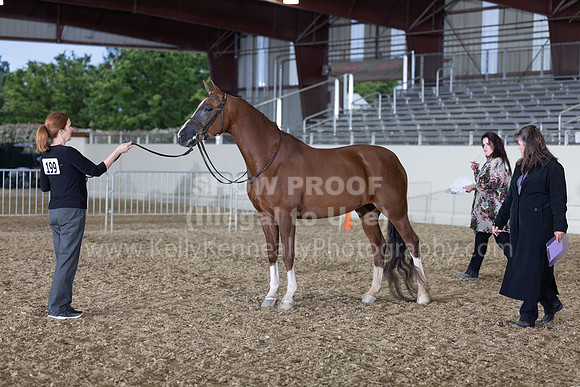AHANC22_R5_Wed_0465