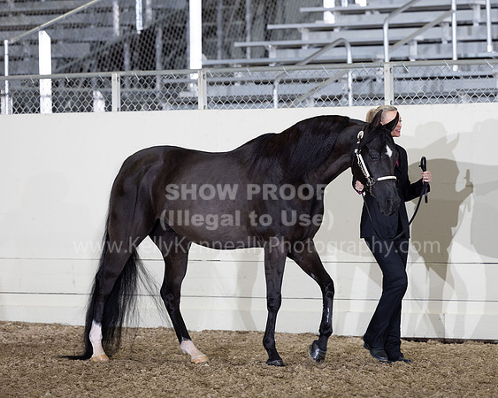 AHANC22_R5_Wed_0503