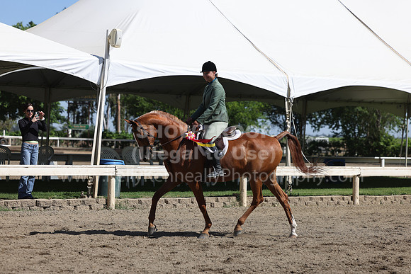 DAHA22_Sun_3327