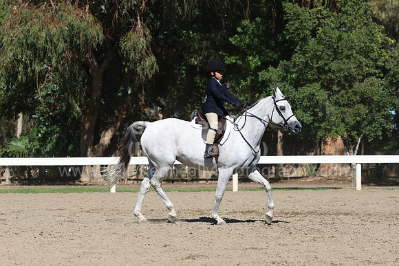 DAHA_FF22_3228