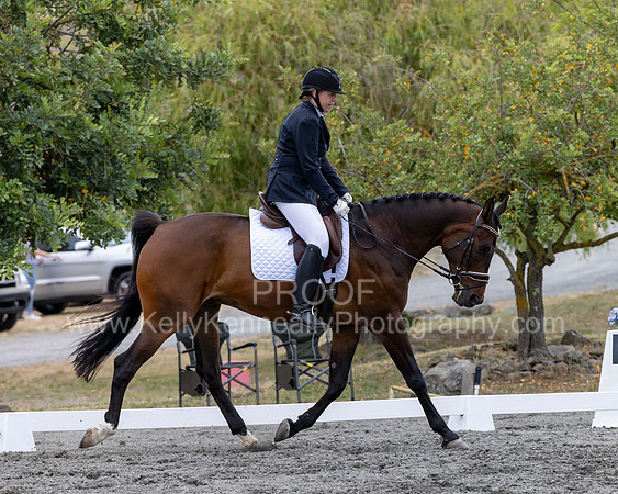 KalypsosKrownRoyal22-3510