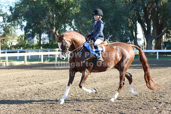 DAHA_FF22_3811
