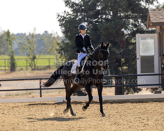 FFC22_D2_1346