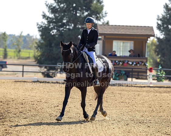 FFC22_D2_1400