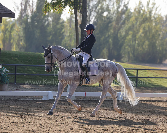 FFC22_D1_2028