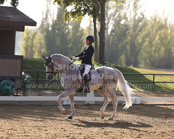 FFC22_D1_2031