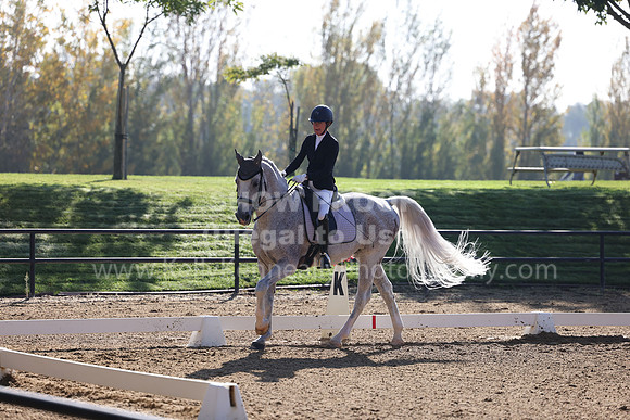 FFC22_D1_2175