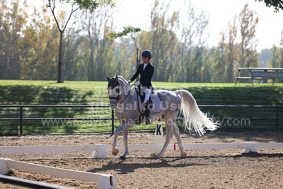 FFC22_D1_2176