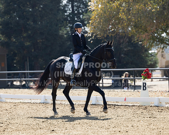 FFC22_D2_1353
