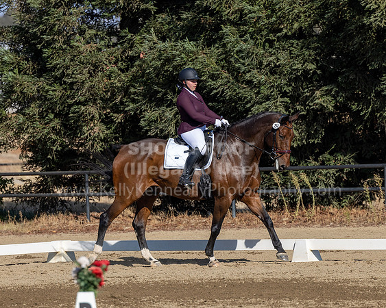 FFC22_D2_1494
