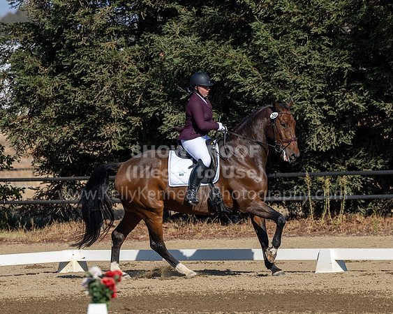 FFC22_D2_1497