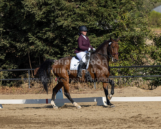 FFC22_D2_1498