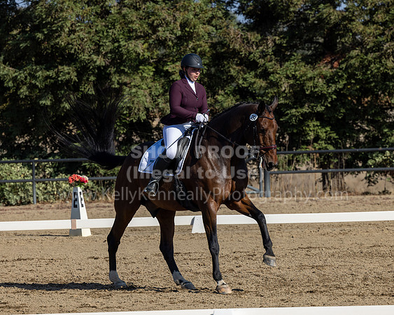 FFC22_D2_1501