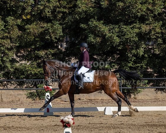 FFC22_D2_1503