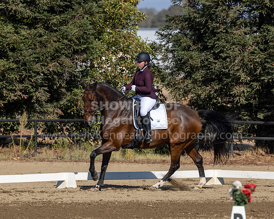 FFC22_D2_1506