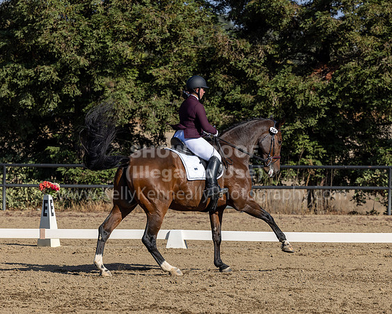FFC22_D2_1507