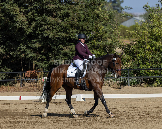 FFC22_D2_1510