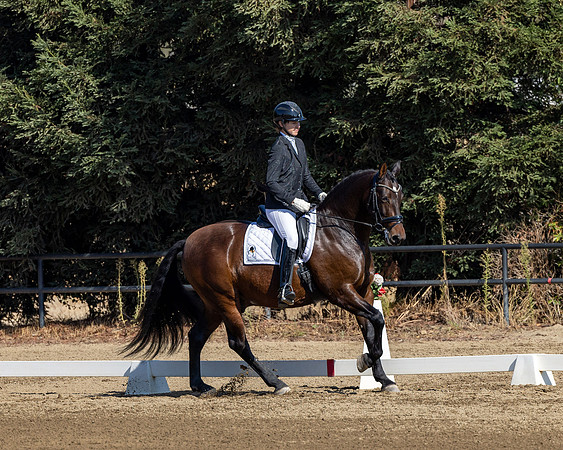 FFC22_D2_1108