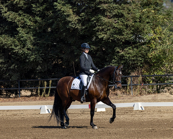 FFC22_D2_1131