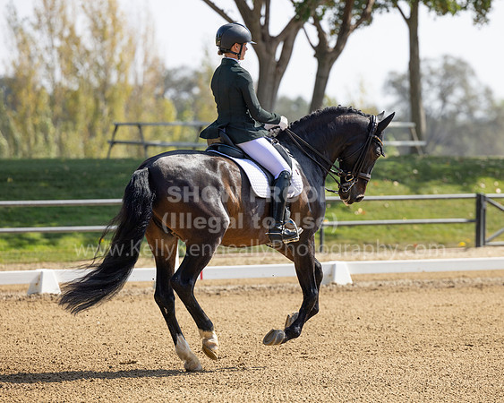 FFC22_D2_0955