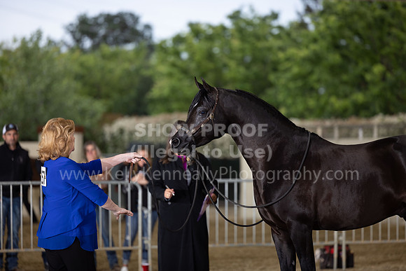 AHANC22_R5_Wed_0405