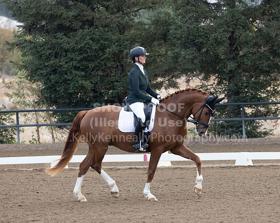 FFC22_D2_0124