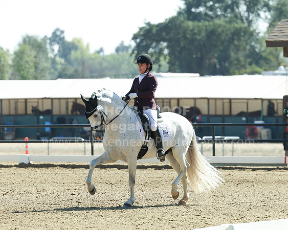 FFC22_D1_7354