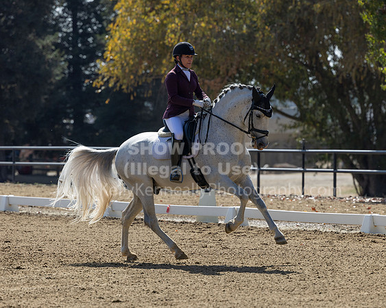 FFC22_D2_1154