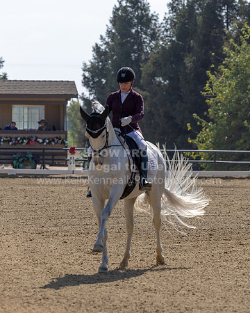 FFC22_D2_1166