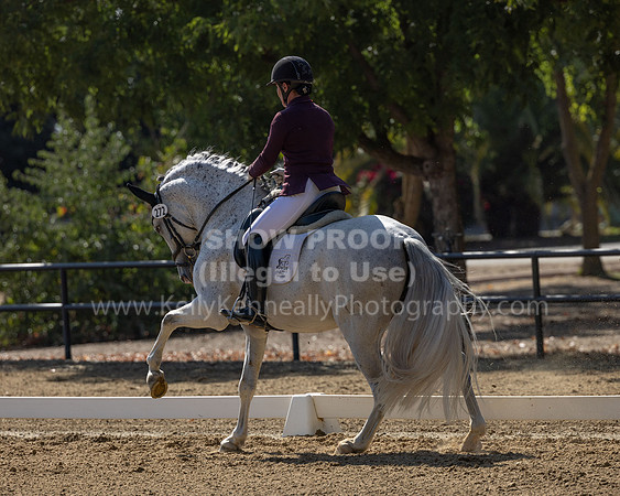 FFC22_D2_1169