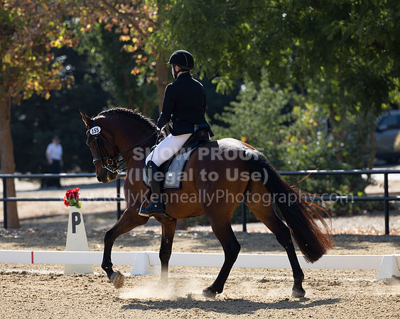 FFC22_D2_1306
