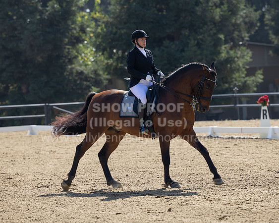 FFC22_D2_1307
