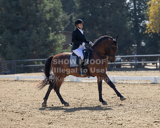 FFC22_D2_1308
