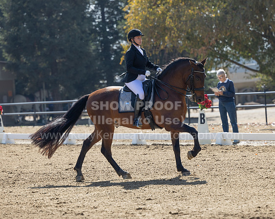FFC22_D2_1309