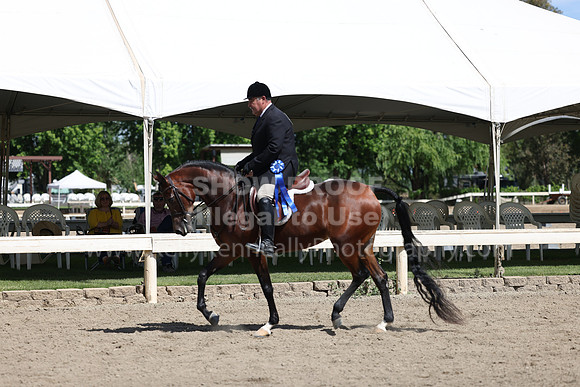 DAHA22_Thurs_0798
