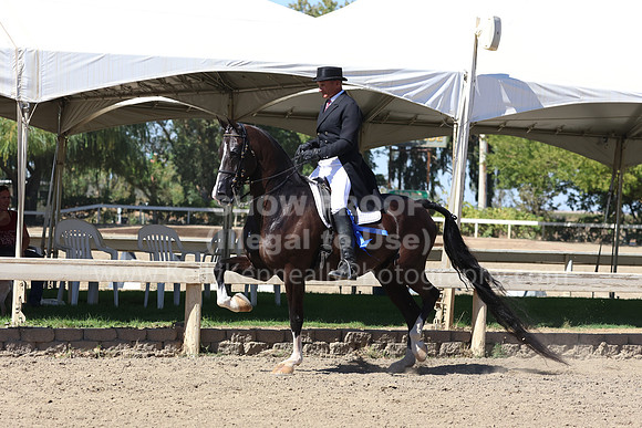 DAHA_FF22_1162