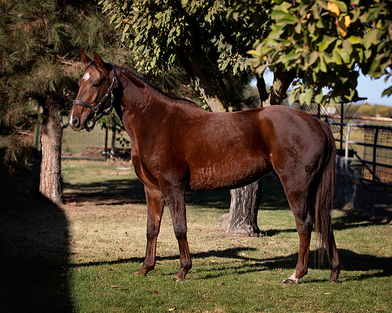Dreamm22_0010