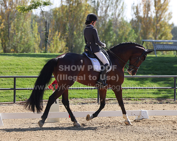FFC22_D1_4811