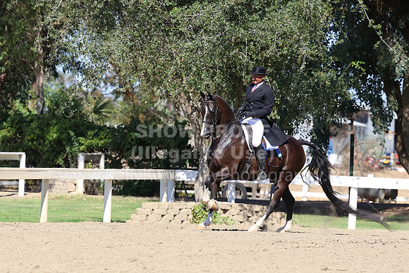 DAHA_FF22_1152