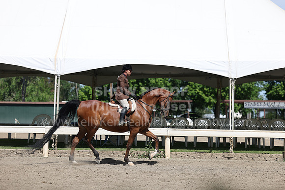 DAHA22_Thurs_0837