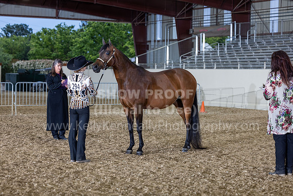 AHANC22_R5_Wed_0473