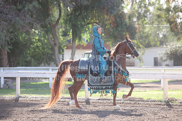 DAHA22_Sun_3115