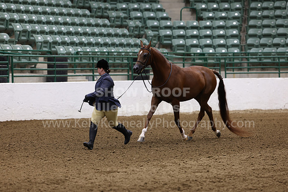 R322_CH_Thurs_2638