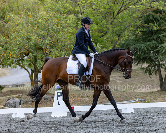 KalypsosKrownRoyal22-3512