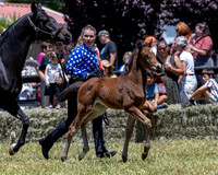 ShermanRanch0524_3189