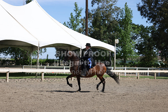 DAHA22_Thurs_0814