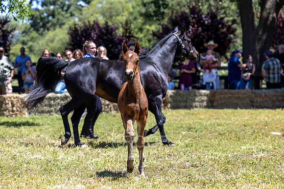 ShermanRanch0524_3249