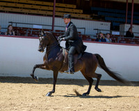 Class 391 HA/AA Park Championship ATR