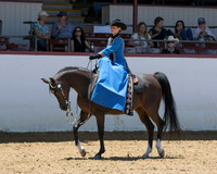 Class 228 Arabian Ladies Western Side Saddle Championship
