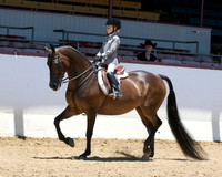 Class 229 A/HA/AA Walk/Trot Hunter/Saddleseat Equitation 10 & Under
